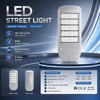 Farola LED IP66 AC para Exteriores, 140-170 Lm/W, Impermeable, con 5 Años de Garantía, para Carreteras y Parques