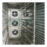 Séchoir solaire de haute qualité pour produits agricoles, machine de séchage d'oignons, séchoir écologique pour noix de coco déshydratées