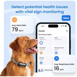 Rastreador GPS Tractive Dog 6 con Suscripción Premium de 6 Meses, Monitoreo de Mascotas, Rastreo en Vivo, Actividad y Salud para Perros - Product Image 4