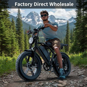 Vélo Électrique 250W 20 Pouces à Freins à Disque à Huile, 7 Vitesses, Lithium, Écran LCD, Moteur Arrière, Pneus Larges – Vente en Gros Direct Usine - Product Image 3