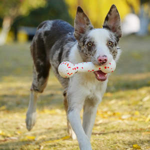 Juguete Ecológico Resistente a Mordidas de ETPU con Forma de Hueso de Palomitas para Perros, para Entrenamiento y Juego Interactivo al Aire Libre - Product Image 4