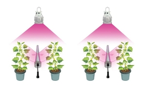 Serre <span class=keywords><strong>Inter</strong></span>-auvent IP66 Tube d'éclairage <span class=keywords><strong>Inter</strong></span>-plante, barre de 4 pieds <span class=keywords><strong>inter</strong></span>-plante 50W supplémentaire led lampe de croissance led <span class=keywords><strong>inter</strong></span>-lumière - Product Image 5