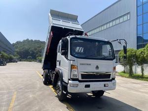 Camión Volquete HOMAN 4x2, Motor YN4102QBZL, Estándar Euro II, Actualmente un Éxito de Ventas en el Sudeste Asiático. - Product Image 2