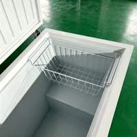 Congélateur Commercial YUANDA -40 Degrés à Refroidissement Direct, Porte Supérieure, Dégivrage Automatique, pour Stockage de Fruits de Mer, Viande et Poisson