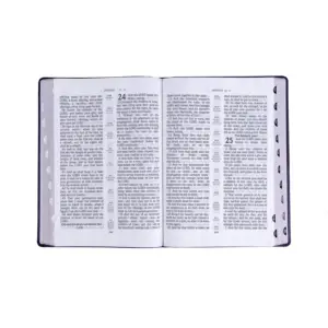 定制批发新设计高品质精装软pu皮革封面圣英语书印刷圣经