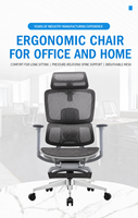 Chaise ergonomique moderne en maille avec hauteur réglable et base pivotante pour bureau à domicile