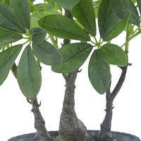 OH ARTS Vente d'usine : Plantes artificielles de jardin, Arbre Schefflera, Palmier, Grand modèle de table pour la décoration d'hôtels et de maisons