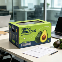 Boîte en carton écologique, recyclable, robuste, avec finition mate, couleurs ciel et terre, avec logo personnalisé