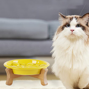 Ciotola per animali domestici in ceramica da 8.5 pollici per alimenti e acqua lenta ciotola per cani pianeta stelle ciotole per gatti con supporto in legno - Product Image 5