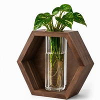 Vente en gros de jardinières murales hexagonales en bois foncé avec vase en verre, propagation hydroponique, OEM ODM, décoration murale miniature personnalisée