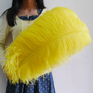 Plumes d'autruche brunes de qualité supérieure, naturelles, de 75-80 cm, pour artisanat DIY, mariages économiques et fournitures de fête - Product Image 2