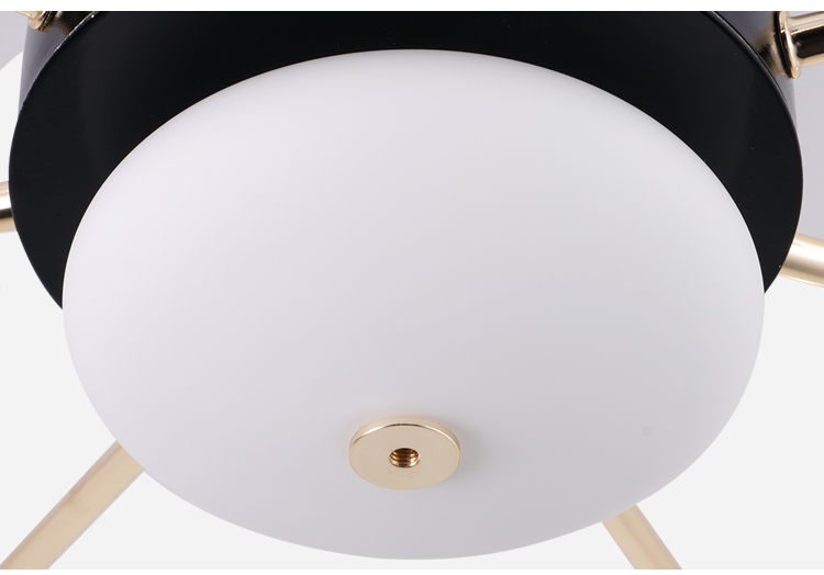 Breezelux  modern simple household dining room ceiling fan lamp  LED ceiling lamp