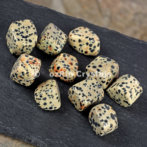 Piedras Pulidas de Jaspe Dálmata, Cristales de Gemas de Forma Libre para Feng Shui, Arte Coleccionable, Sanación e Inspiración - Product Image 3