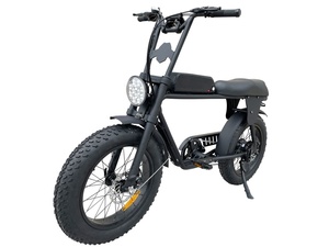 จักรยานไฟฟ้า 73 Fat Tire 48V 500W/750W กำลังไฟ 20 นิ้ว*4.0 ล้ออะลูมิเนียม โช้คหน้า แบตเตอรี่ลิเธียม TH-V 25 500W รุ่น TH-V 25 - Product Image 2