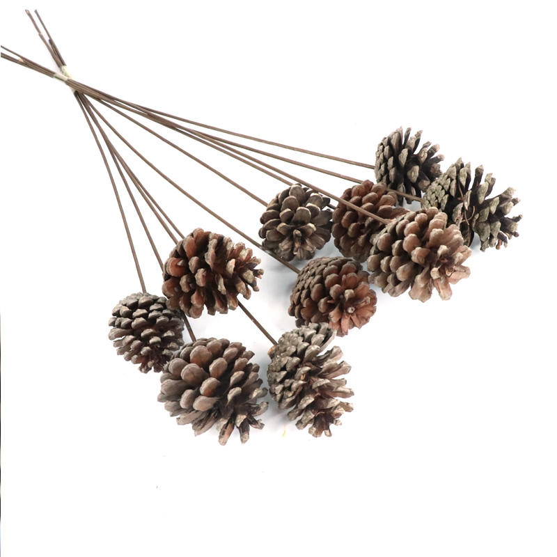 批发干花装饰松果独特的ins风格婚纱墙装饰家居布置 - buy pinecones