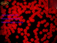 Microsphères fluorescentes en métal de terres rares à longue durée de luminescence, haute stabilité, pour le domaine des biomarques, prix 0,1 µm