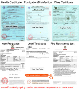 Broche de Pluma Natural Hecho a Mano Personalizado <span class=keywords><strong>para</strong></span> Solapa, Lazo de Pluma <span class=keywords><strong>para</strong></span> Boda, Accesorio de Fiesta, Esmoquin <span class=keywords><strong>para</strong></span> Hombre, Corbata, Disfraz, Ropa - Product Image 6