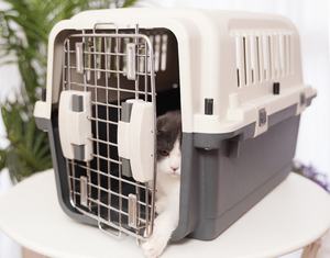 Scatola di compagnia aerea per animali domestici per cani e gatti fuori gabbia portatile per gatti piccoli medi e grandi cani all'ingrosso scatola di spedizione aerea nazionale - Product Image 4