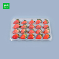 Boîte à fruits en plastique PET transparente Plateau d'emballage de baies de fraises pour supermarché de ferme