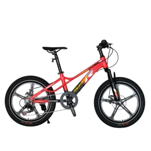 20英寸酷男自行车10岁儿童自行车带碳钢车轮制造自行车