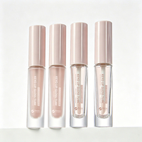Nouvelles Emballages Personnalisés Givrés pour Correcteur, Mascara, Sérum Cils, Flacon en Verre pour Gloss et Huile à Lèvres – Contenants Vides de 3ml, 5ml, 6ml, 8ml