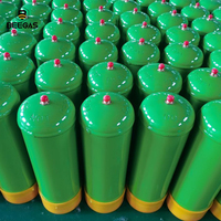 Magic Bee 2.2L Emballage en métal 30 ballons Cylindre de gaz à hélium en acier jetable pour gonfler des ballons