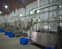 Machine de fabrication de barquettes à œufs en pâte à papier, contrôlée par PLC, haute capacité, équipement de production de barquettes à œufs pour petites entreprises