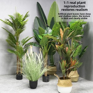 árboles Artificiales Miniatura Escala N VILLCASE 12 Piezas Modelo De Simulación Modelo Paisaje A Escala N Modelo De Árbol Artificial Modelo Mini Mesa De Arena Mini Decoración Modelo De Mini Árbol Plantas