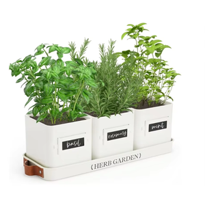 Set of 3 <strong>Kitchen</strong> Windowsill <strong>Herb</strong> Pots Indoor <strong>Herb</strong> Garden <strong>Planter</strong> with Tray for Home Use Eco-Friendly Plant Fiber Customizable - Product Image 1