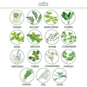 Jon Gardener 15 variétés d'herbes Collection jardin d'herbes parfait <span class=keywords><strong>pour</strong></span> le Royaume-Uni, y compris la <span class=keywords><strong>menthe</strong></span> basilic pots de fleurs jardinières Simple 15,000 <span class=keywords><strong>pour</strong></span> - Product Image 2
