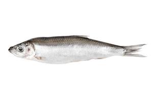 Porciones de Arenque Congelado Entero, Orgánico Premium, Sin Nicotina, Capturado en la Naturaleza, Alto en Proteínas, Bajo en Carbohidratos, Venta al Por Mayor para Servicios de Alimentación - Product Image 6