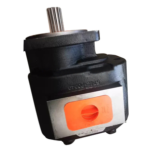 Pompes hydrauliques OEM Série M124 M257 M7600 M5100 M3100 M2500 Pompe à engrenages hydraulique M124A885CVZA07-54 - Product Image 4