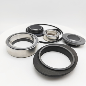 FLII-D Đôi Con dấu cơ khí cho fristam Máy bơm mô hình flii55 flii75 flii100 flii130 bơm - Product Image 1