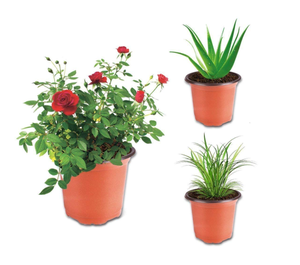 Doublure de pot de <span class=keywords><strong>fleur</strong></span> en plastique agricole jetable de Style campagnard moderne pour accrocher des fleurs de <span class=keywords><strong>jardin</strong></span> en plein air décor à la maison jardinière - Product Image 5
