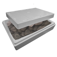 Boîte isotherme blanche en EPS écologique européenne, conteneur recyclable pour chaîne du froid, emballage léger, antibactérien, économique