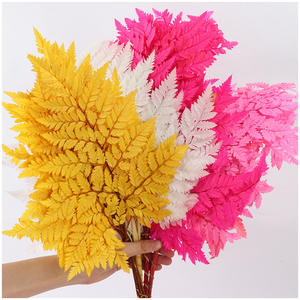 Foglie di <span class=keywords><strong>Felce</strong></span> Arachniodes Preservate, <span class=keywords><strong>Felce</strong></span> in Pelle Multicolore, Foglia Piatta Essiccata per Bouquet Floreali dalla Fabbrica dello Yunnan - Product Image 1