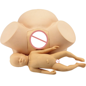 Modello Didattico di Parto, Modello Umano per l'Insegnamento della Distocia, Modello di Ostetricia per il Parto - Product Image 5