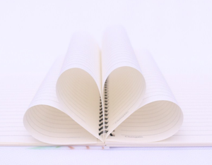 Sacchetto di scuola gli studenti ragazze diario <span class=keywords><strong>notebook</strong></span> bobina doppio taccuino a spirale foderato <span class=keywords><strong>notebook</strong></span> griglia - Product Image 3