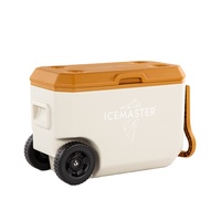 Glacière thermique portable moderne de 38 L avec poignée de transport facile pour la pêche, la plage et le camping