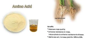La polvere dell'amminoacido idrolizzata acido derivato dalla pianta per promuove l'assorbimento dei nutrienti della pianta e stimola la <span class=keywords><strong>crescita</strong></span> rapida - Product Image 5