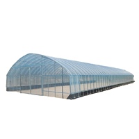 6m/ 8m/10m bonne qualité Chine Kit de serre en plastique unique avec pour la tomate