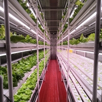Système de culture hydroponique de légumes en conteneur frigorifique 20RF 2026