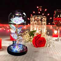 Veilleuse fleur éternelle avec couvercle en verre envoyé cadeau d'anniversaire saint valentin pour petite amie mère Rose scène mise en page décoration