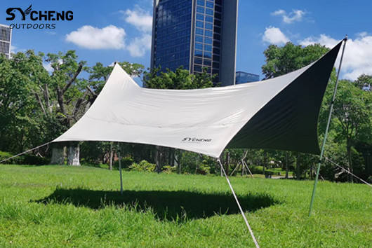 ตามที่แสดงในรูป