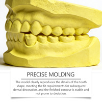 Kit de Decoración Dental de Marca Propia para que Puedas Crear un Modelo Dental, Material de Masilla para Moldes Dentales, Juego de Modelos de Yeso Dental