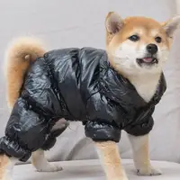 Hunde mantel Haustier Hersteller Warm Designer Hunde jacke für Welpen Winter Soft Wind proof OEM Custom Kleidung für Haustier