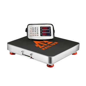 Tragbare Industriewaage 300 kg, Digitale Funkwaage zum Verkauf - Product Image 1