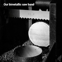 Industrielles Bi-Metall Bandsägeblatt für Metallschneiden Hochgeschwindigkeits-Ti-beschichtet OEM Verfügbar Variable TPI Lange Lebensdauer