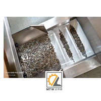 Machine de remplissage automatique multi-têtes MTW pour aliments pour animaux, céréales, engrais chimiques et granulés en pots et seaux