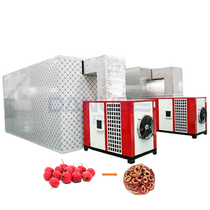 Four de séchage à haute efficacité pour baies d'aubépine, avec plateaux de qualité alimentaire, pour la transformation des fruits et la production de chips d'aubépine, déshydrateur - Product Image 1